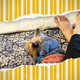 Illustration for article titled The Best Gadgets for Working From My Dream Office: the Bed
